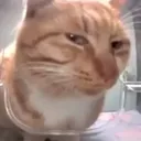 sideeye sideeye