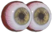 Cyeyes Cyeyes