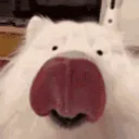 LICKA