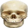 ReignSkull