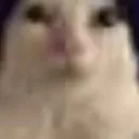 lowresinald