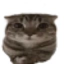 catee