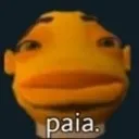 paia