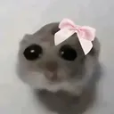 sadhamham Discord Emoji