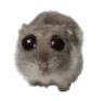 sad_hamster