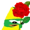 donkirose donkirose