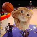 ballincat