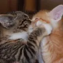 c_mwah