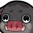 geegaNoot