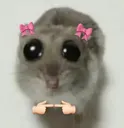 cute_cat_uwu