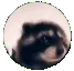 pedro
