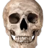 skull_emoji