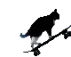catSkate
