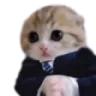 UOS_Cat_Formal Discord Emoji