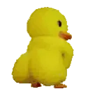 an_duck_shaking