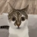 horrified