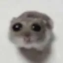 bobatea