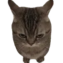 usernaem