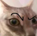 p_zeroosus