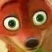shocked_fox_thing