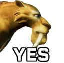 ChadDiego
