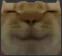 happycat