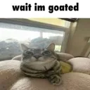 waitimgoated