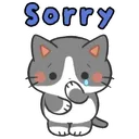 sorry