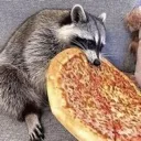 racomunchies