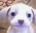 mmmm