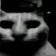 catdespair