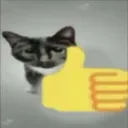 thumbsupcat