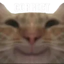 catcorrect