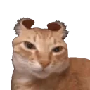 thedevil
