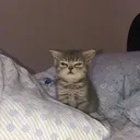 m_0sleepy