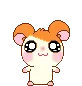 h_squishy