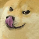 doge67