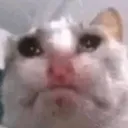 mewhenicry3