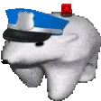 PolarBearPolice