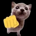 knucklebump knucklebump