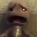 wtfdude