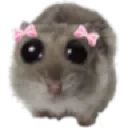 HammyJustagirl