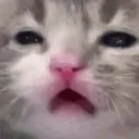 huh
