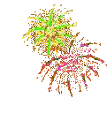 y_fireworks