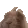 sw_vibe