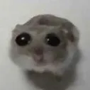 bixofeikkk