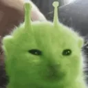 glorp