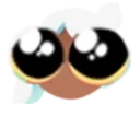 pWOOWWWWskycordmoth