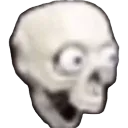 shawkedskull