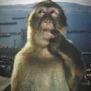 thinker